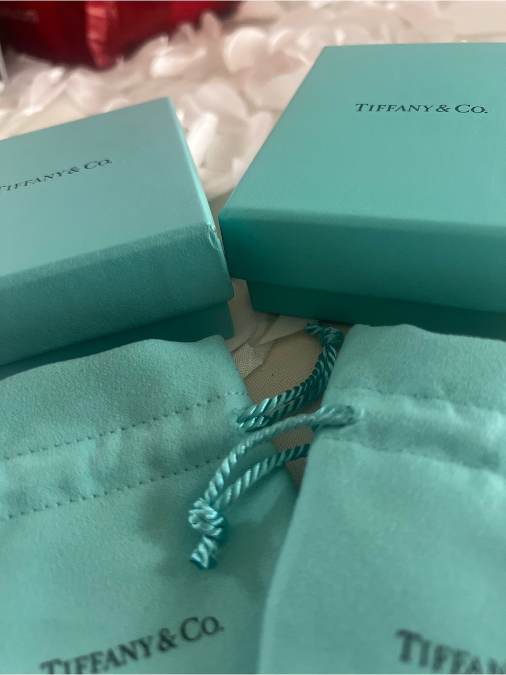 Tiffany & Co. Robin's Storage Boxes and Pouches - Picture 3 of 3
